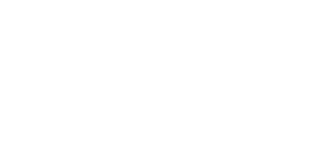 stair carpets logo white